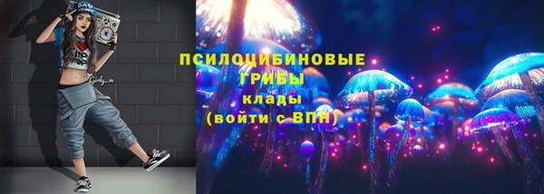 Альфа ПВП Армянск