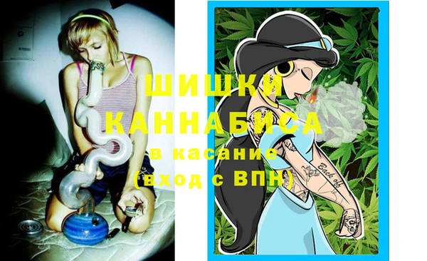 тгк Горнозаводск