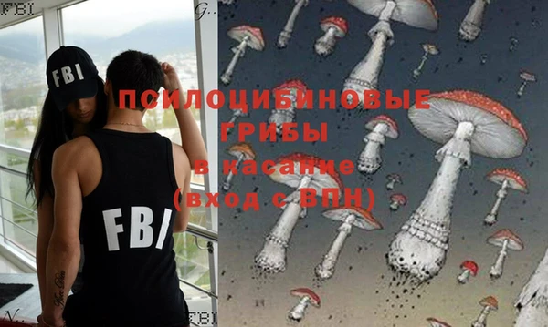 МДПВ Аркадак