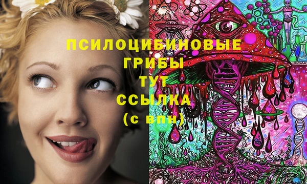 метадон Арсеньев